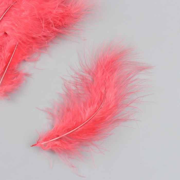 фото Набор декоративных перьев "рукоделие", 20 шт (терракотовый цвет), длина пера 13-16 см