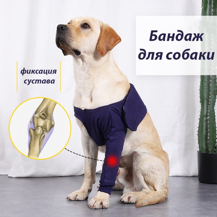 Бандаж на лапу послеоперационный, хлопок+спандекс, размер S (ОГ 40-52, длина 17 см), синий
Бандаж на лапу послеоперационный, хлопок+спандекс, размер S (ОГ 40-52, длина 17 см), синий