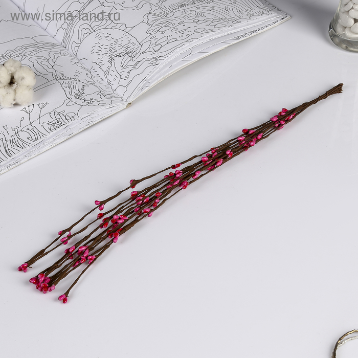 Декор для творчества "Почки на ветке", 1 букет=10 шт., МИКС
Декор для творчества "Почки на ветке", 1 букет=10 шт., МИКС