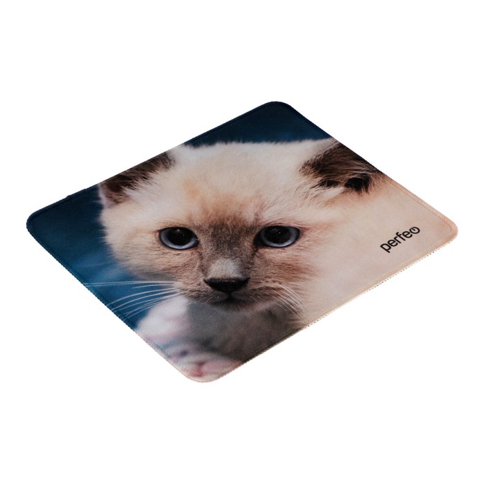Коврик для мыши Perfeo Cat рис.18, 240x200x2 мм 
Коврик для мыши Perfeo Cat рис.18, 240x200x2 мм