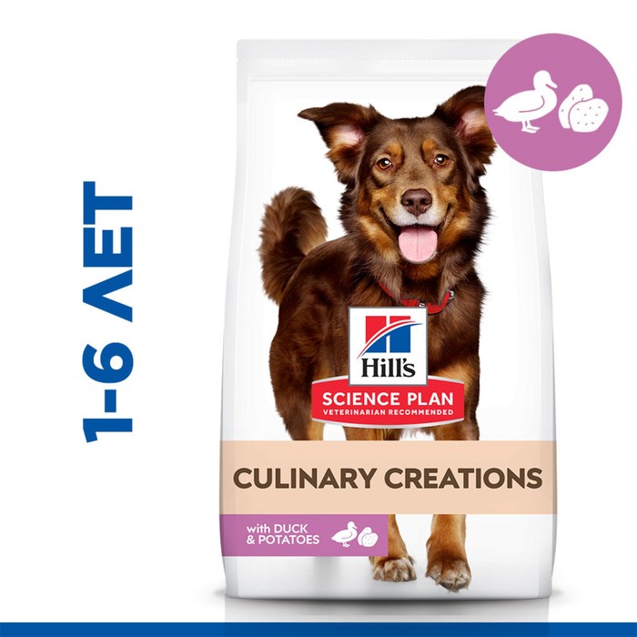 Сухой корм Hill's Science Plan Culinary Creations для взрослых собак средних пород для поддержания и
Сухой корм Hill's Science Plan Culinary Creations для взрослых собак средних пород для поддержания и
