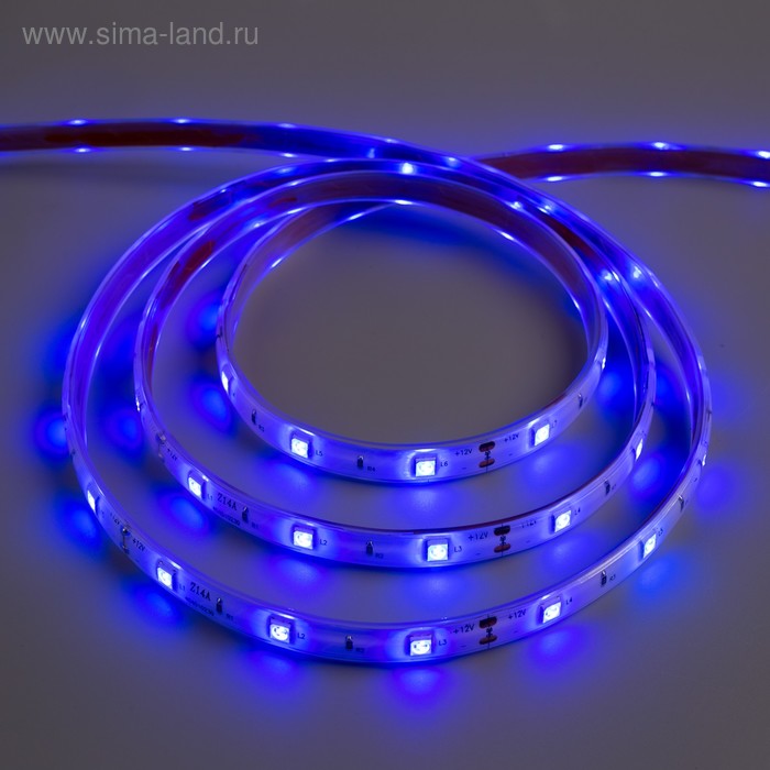 Светодиодная лента 12В, SMD5050, 5 м, IP68, 30 LED, 7.2 Вт/м, 14-16 Лм/1 LED, DC, СИНИЙ
Светодиодная лента 12В, SMD5050, 5 м, IP68, 30 LED, 7.2 Вт/м, 14-16 Лм/1 LED, DC, СИНИЙ