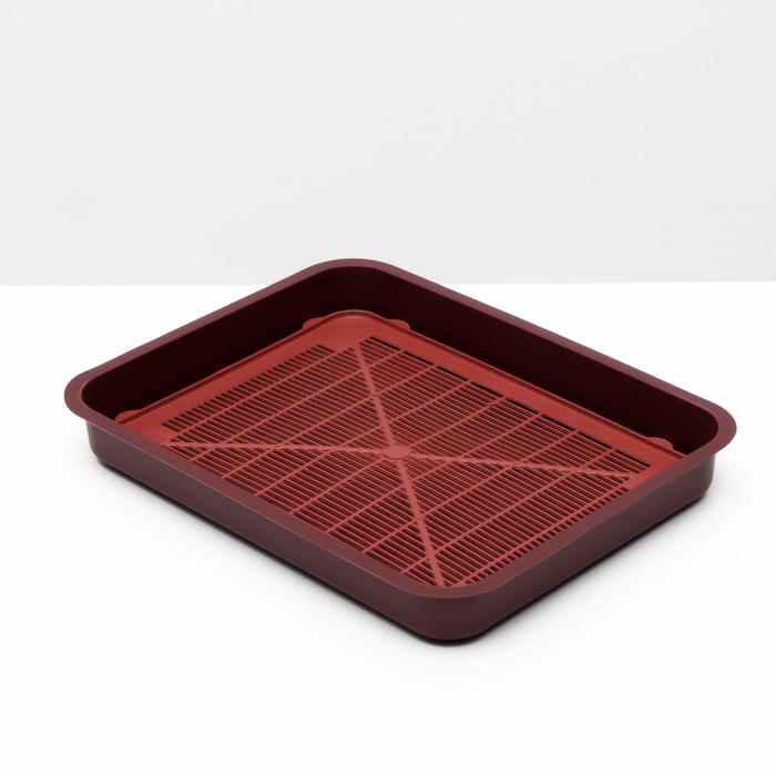 Туалет для котят, 35х 26 х 4 см, красно-бордовый
Туалет для котят, 35х 26 х 4 см, красно-бордовый