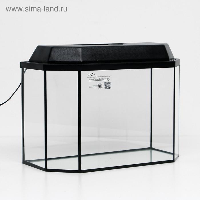 Аквариум панорамный с крышкой, 50 литров, 56 х 26 х 36/41 см, чёрный 
Аквариум панорамный с крышкой, 50 литров, 56 х 26 х 36/41 см, чёрный