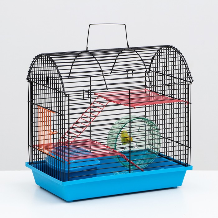 Клетка для грызунов 2 этажа, метал. полочки, лесенка, домик и колесо, полукруглая,36 х 24 х 29 см микс
Клетка для грызунов 2 этажа, метал. полочки, лесенка, домик и колесо, полукруглая,36 х 24 х 29 см микс