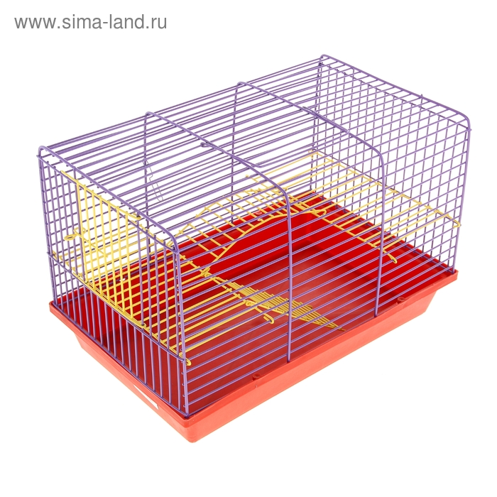 Клетка для грызунов Венеция, 36 х 24 х 27 см, микс цветов
Клетка для грызунов Венеция, 36 х 24 х 27 см, микс цветов