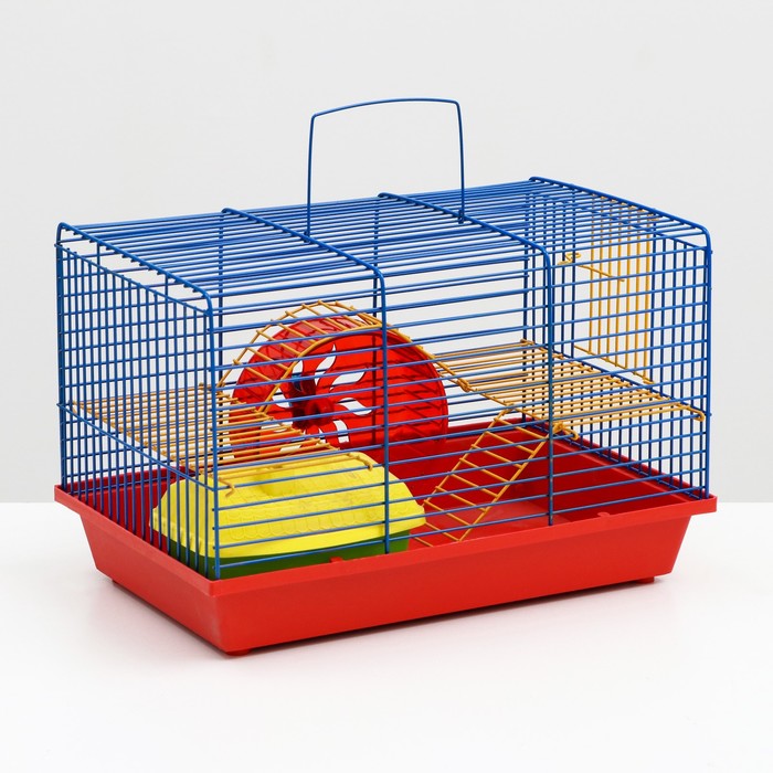 Клетка для грызунов Венеция - комплект, укомплектованный, 36 х 24 х 27 см, микс цветов
Клетка для грызунов Венеция - комплект, укомплектованный, 36 х 24 х 27 см, микс цветов