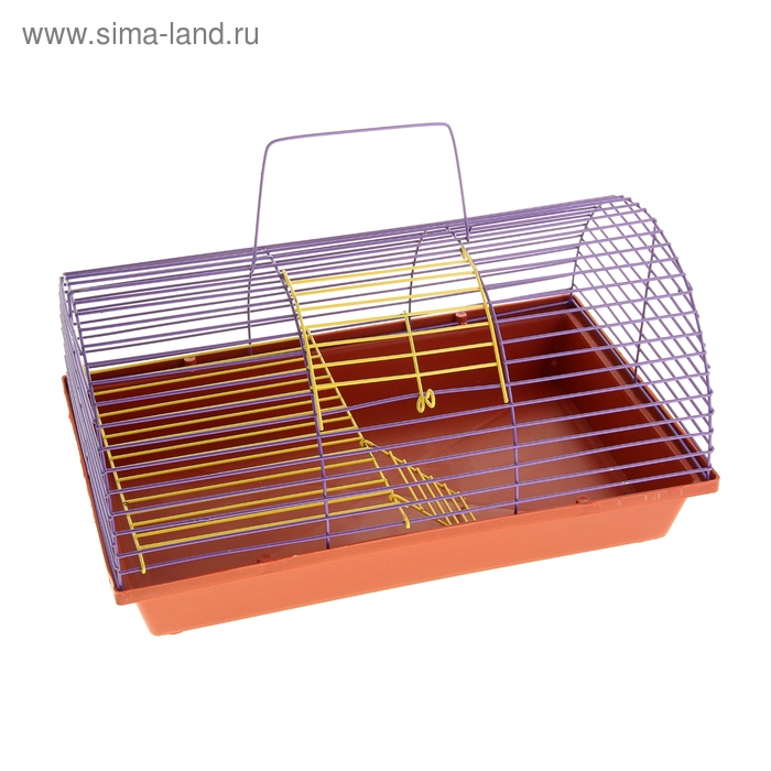 Клетка для грызунов полукруглая с метал.полкой и лесенкой,36 х 24 х 22 см микс цветов
Клетка для грызунов полукруглая с метал.полкой и лесенкой,36 х 24 х 22 см микс цветов