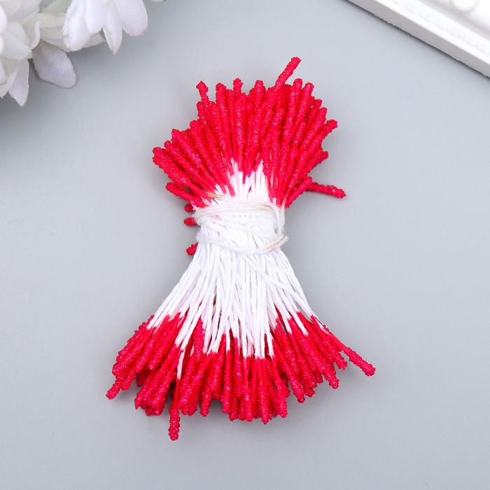 Тычинки для искусственных цветов "Пушистые " длина 6 см (набор 170 шт)
Тычинки для искусственных цветов "Пушистые " длина 6 см (набор 170 шт)