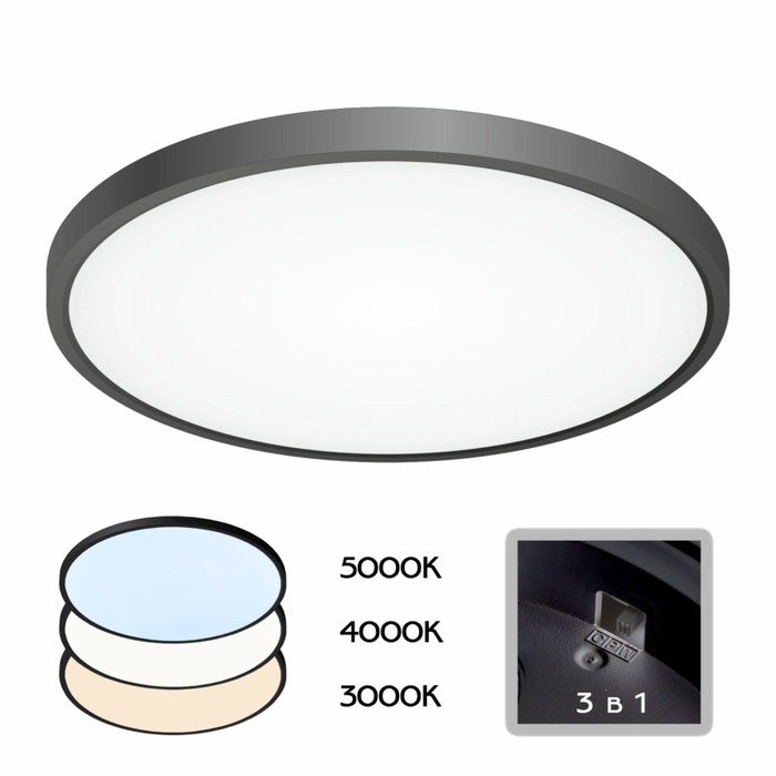 Светильник накладной Citilux «Бейсик» CL738321V, 40х40х2,5 см, 1х32Вт, LED, цвет черный
Светильник накладной Citilux «Бейсик» CL738321V, 40х40х2,5 см, 1х32Вт, LED, цвет черный