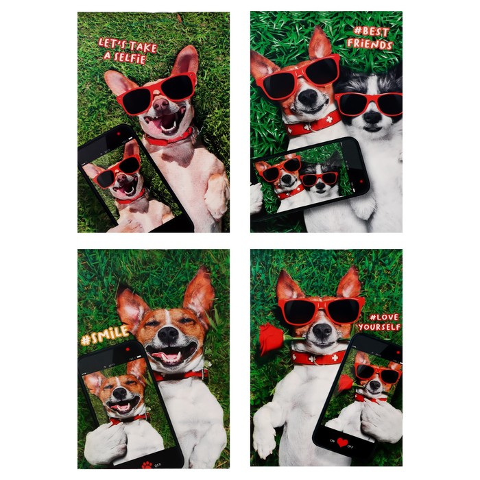 Блокнот А6, 40 листов в клетку на скрепке "Пёсо-селфи", обложка мелованный картон, блок офсет, МИКС
Блокнот А6, 40 листов в клетку на скрепке "Пёсо-селфи", обложка мелованный картон, блок офсет, МИКС