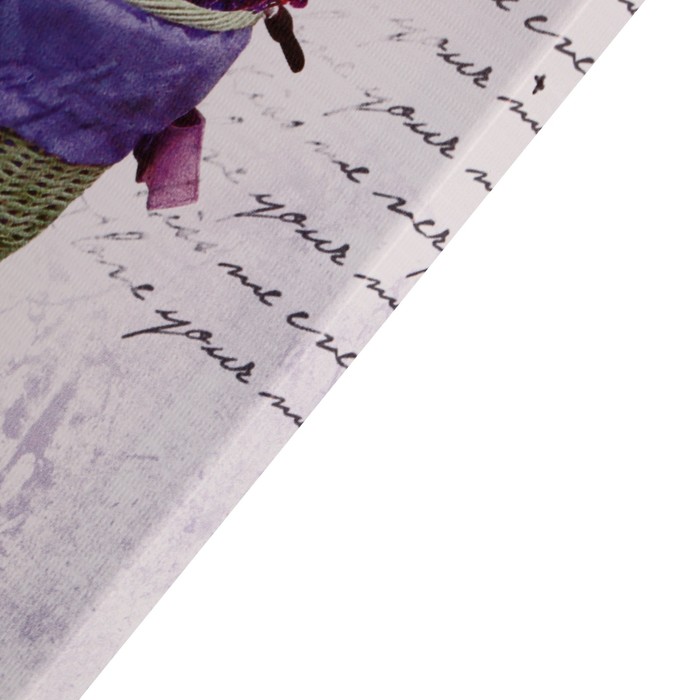 фото Картина на холсте "велосипед" 40*60 см постер-лайн