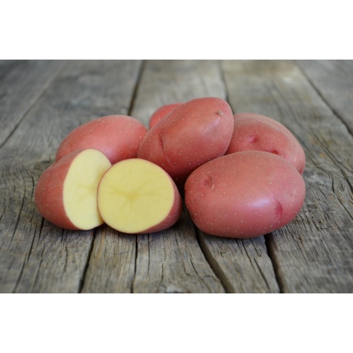 Семенной Картофель "Ред скалетт", суперэлита 2,5 кг 
Семенной Картофель "Ред скалетт", суперэлита 2,5 кг