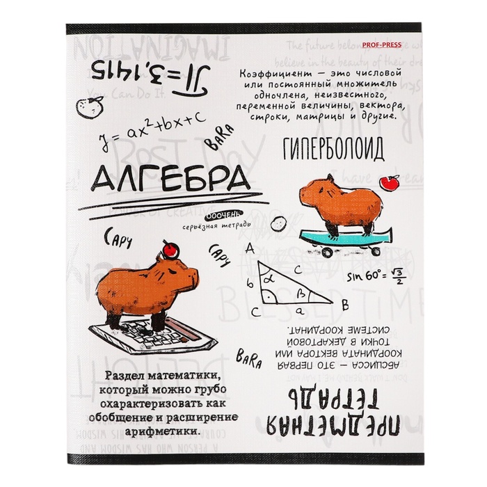 Тетрадь предметная "Капибара", 48 листов в клетку "Алгебра", обложка мелованный картон, тиснение лен, блок офсет
Тетрадь предметная "Капибара", 48 листов в клетку "Алгебра", обложка мелованный картон, тиснение лен, блок офсет