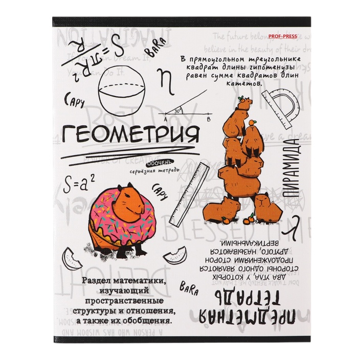 Тетрадь предметная "Капибара", 48 листов в клетку "Геометрия", обложка мелованный картон, тиснение лен, блок офсет
Тетрадь предметная "Капибара", 48 листов в клетку "Геометрия", обложка мелованный картон, тиснение лен, блок офсет