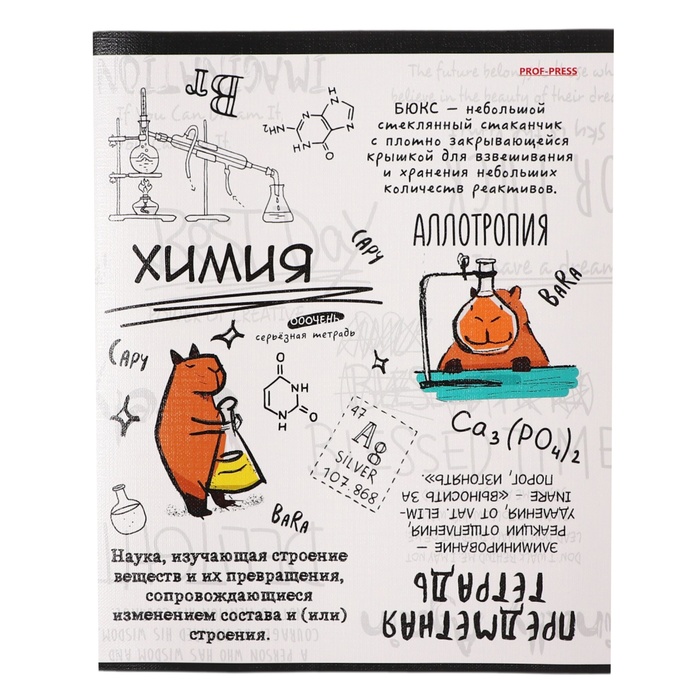 Тетрадь предметная "Капибара", 48 листов в клетку "Химия", обложка мелованный картон, тиснение лен, блок офсет
Тетрадь предметная "Капибара", 48 листов в клетку "Химия", обложка мелованный картон, тиснение лен, блок офсет