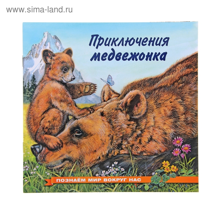 «Приключения медвежонка», Гурина И. В.
«Приключения медвежонка», Гурина И. В.