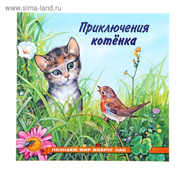 «Приключения котёнка», Гурина И. В.
«Приключения котёнка», Гурина И. В.