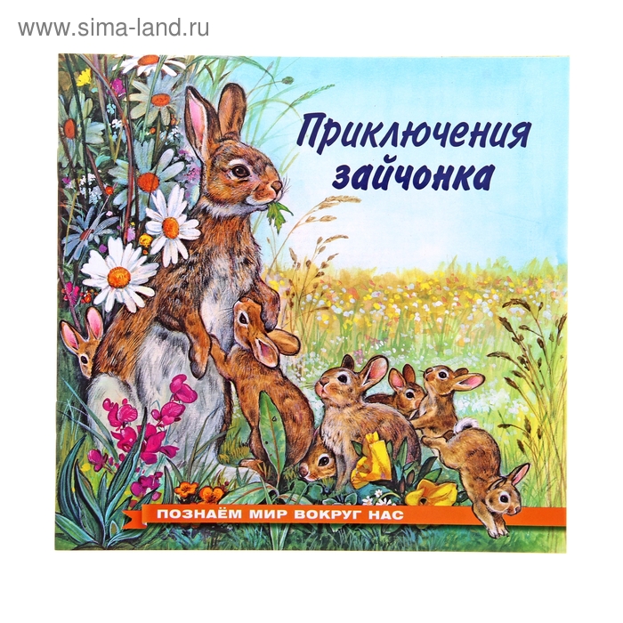 «Приключения зайчонка», Гурина И. В.
«Приключения зайчонка», Гурина И. В.