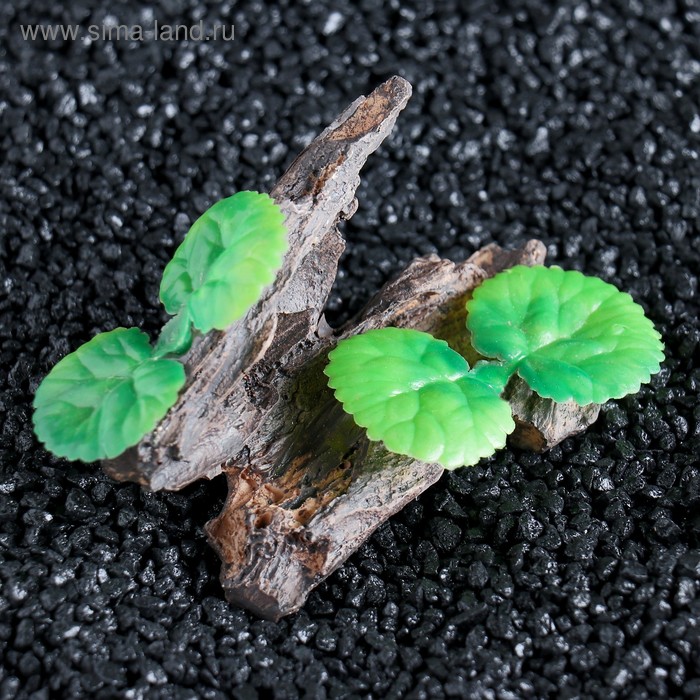 Грот "Коряга" с растениями, 11 х 6,5 х 6 см
Грот "Коряга" с растениями, 11 х 6,5 х 6 см