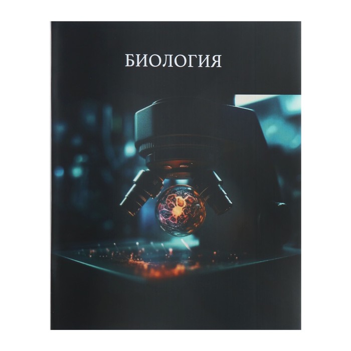 Тетрадь предметная Calligrata TOP "Школьный стиль", 48 листов в клетку Биология, со справочным материалом, пластиковая обложка, блок офсет
Тетрадь предметная Calligrata TOP "Школьный стиль", 48 листов в клетку Биология, со справочным материалом, пластиковая обложка, блок офсет