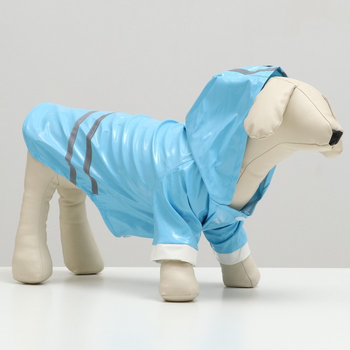 Куртка со светоотражающими полосами, размер L, голубая (ДС 35 см, ОШ 40 см,ОГ 48 см)
Куртка со светоотражающими полосами, размер L, голубая (ДС 35 см, ОШ 40 см,ОГ 48 см)