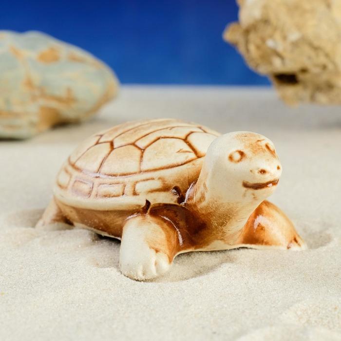 Декорация для аквариума "Черепаха", 3х5х2 см, микс
Декорация для аквариума "Черепаха", 3х5х2 см, микс