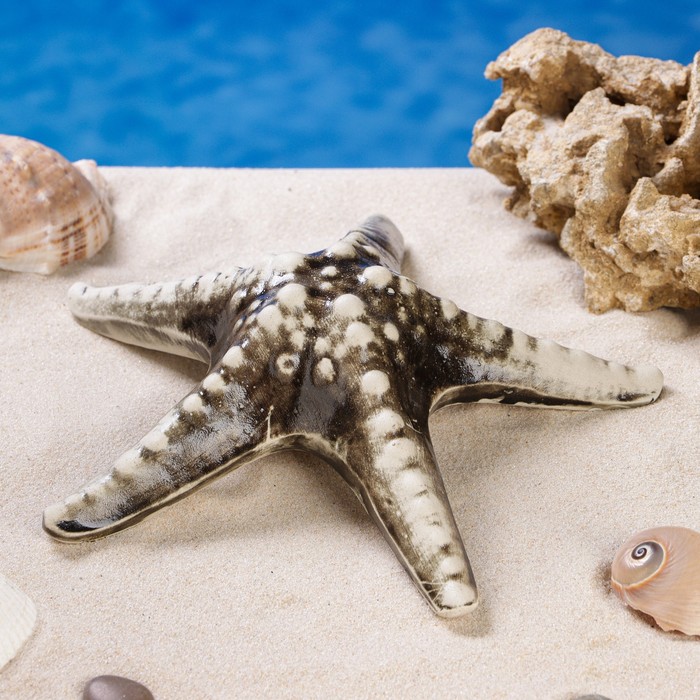 Декорация для аквариума "Морская звезда'', 22х22х6 см, микс
Декорация для аквариума "Морская звезда'', 22х22х6 см, микс