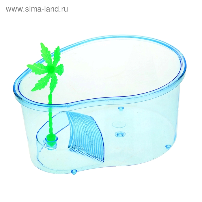 Террариум для черепах Aleas "Трионикс" 21x15x7.5cм A19-1001
Террариум для черепах Aleas "Трионикс" 21x15x7.5cм A19-1001