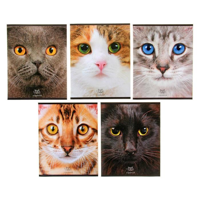 Тетрадь 48 листов в клетку «Кошачьи мордочки», обложка мелованный картон, тиснение, блок офсет, МИКС
Тетрадь 48 листов в клетку «Кошачьи мордочки», обложка мелованный картон, тиснение, блок офсет, МИКС