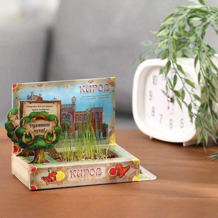 Растущая травка в открытке «Киров»
Растущая травка в открытке «Киров»