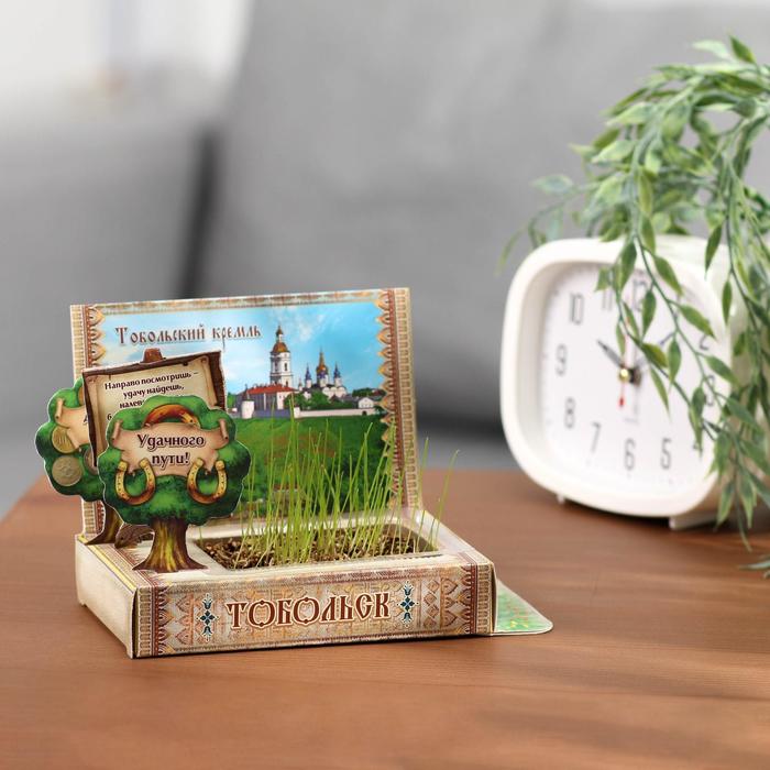 Растущая травка в открытке «Тобольск»
Растущая травка в открытке «Тобольск»