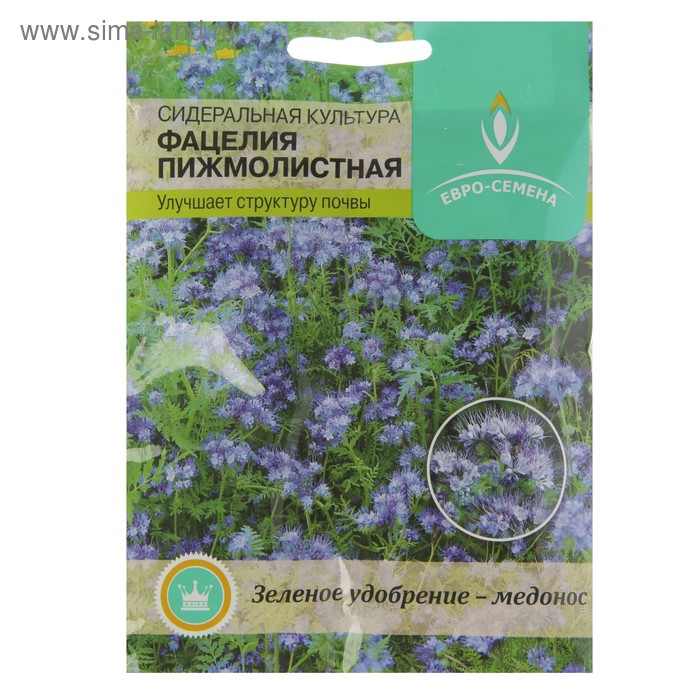 Евро Семена Интернет Магазин