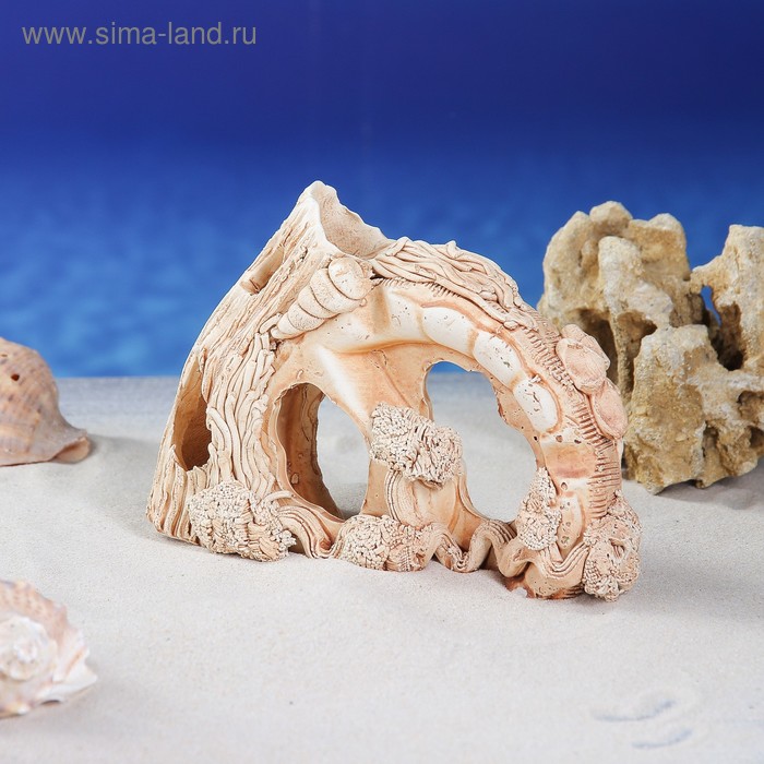 Декорация для аквариума "Арочка", 5 х 20 х 14 см
Декорация для аквариума "Арочка", 5 х 20 х 14 см