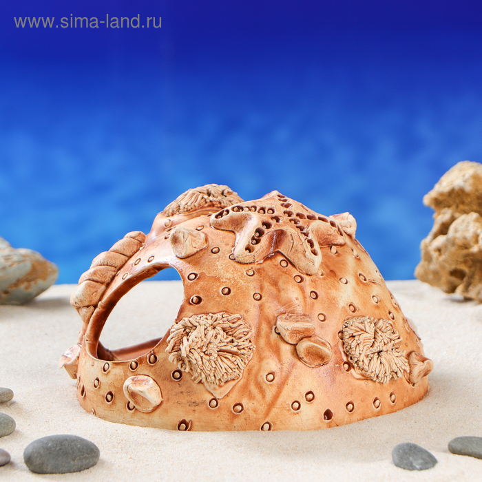 Декорация для аквариума "Губка'', 16х13х9 см
Декорация для аквариума "Губка'', 16х13х9 см