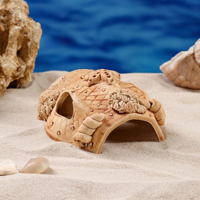 Декорация для аквариума "Губка'', 10х12х7 см
Декорация для аквариума "Губка'', 10х12х7 см