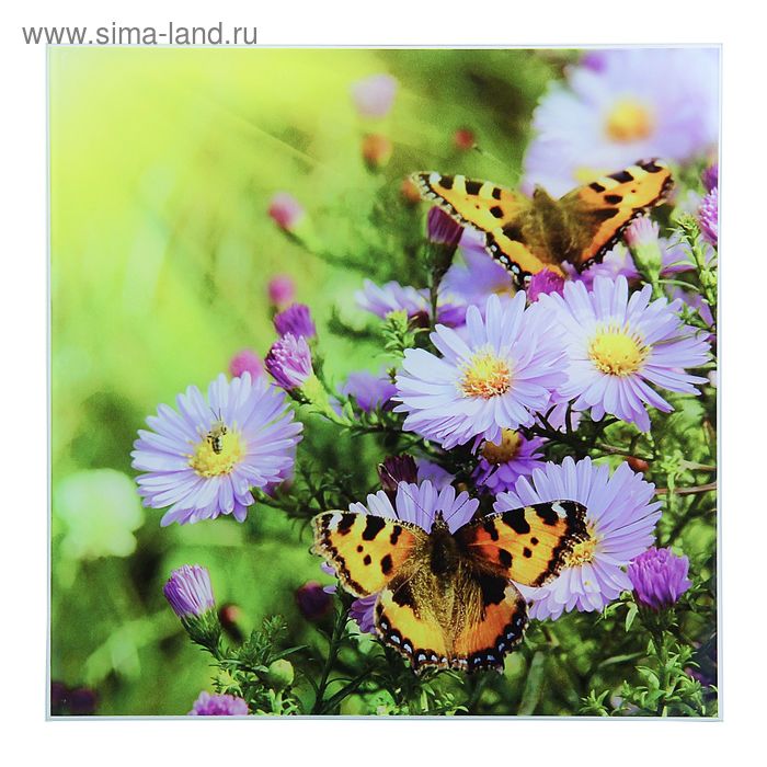 Картина на стекле "Бабочки на цветах" 30*30
Картина на стекле "Бабочки на цветах" 30*30