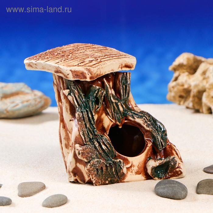 Декорация для аквариума "Черепашник на скале'', 14 х 12 х 14 см, микс
Декорация для аквариума "Черепашник на скале'', 14 х 12 х 14 см, микс