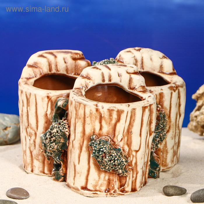 Декорация для аквариума "Коряги", 15 х 15 х 13 см
Декорация для аквариума "Коряги", 15 х 15 х 13 см