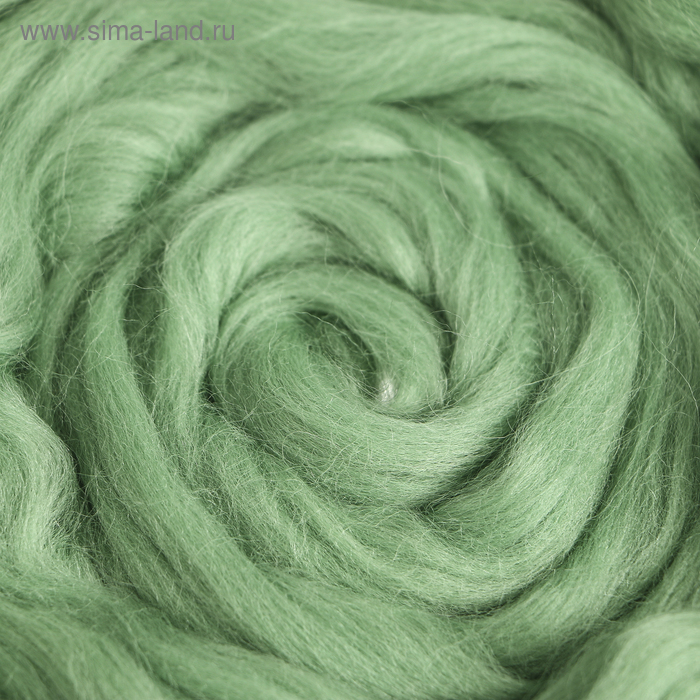 Гребенная лента 100% полутонкая шерсть 100гр (0580, зел.яблоко)
Гребенная лента 100% полутонкая шерсть 100гр (0580, зел.яблоко)