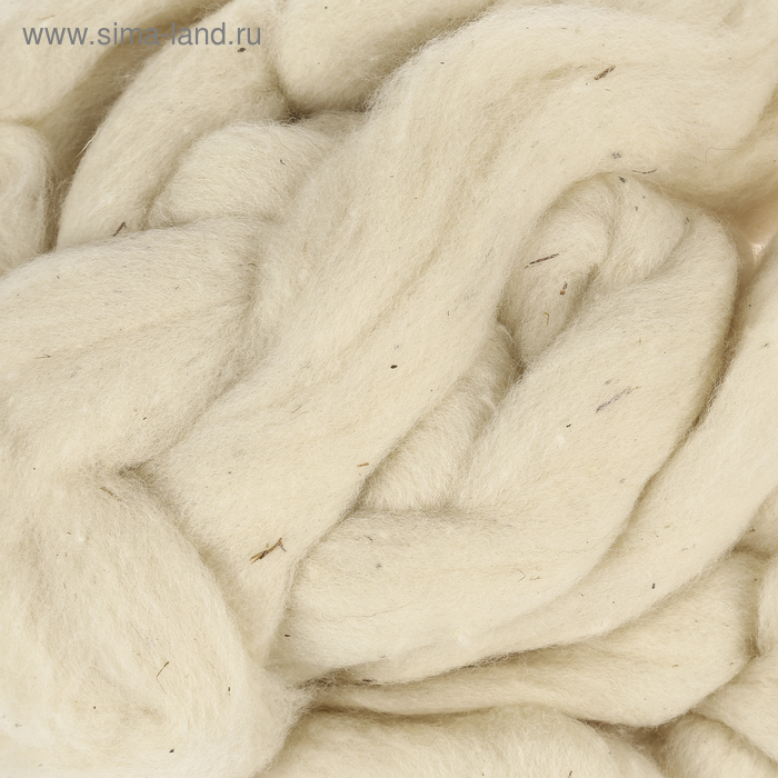 Шерсть для валяния тонкая (0770, суровый), 100 г 
Шерсть для валяния тонкая (0770, суровый), 100 г