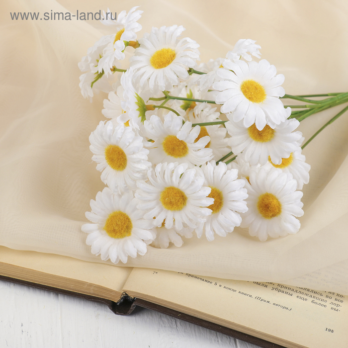 Букет "Ромашки" 50 см белые (цена за 1веточку, фасовка 5шт)
Букет "Ромашки" 50 см белые (цена за 1веточку, фасовка 5шт)