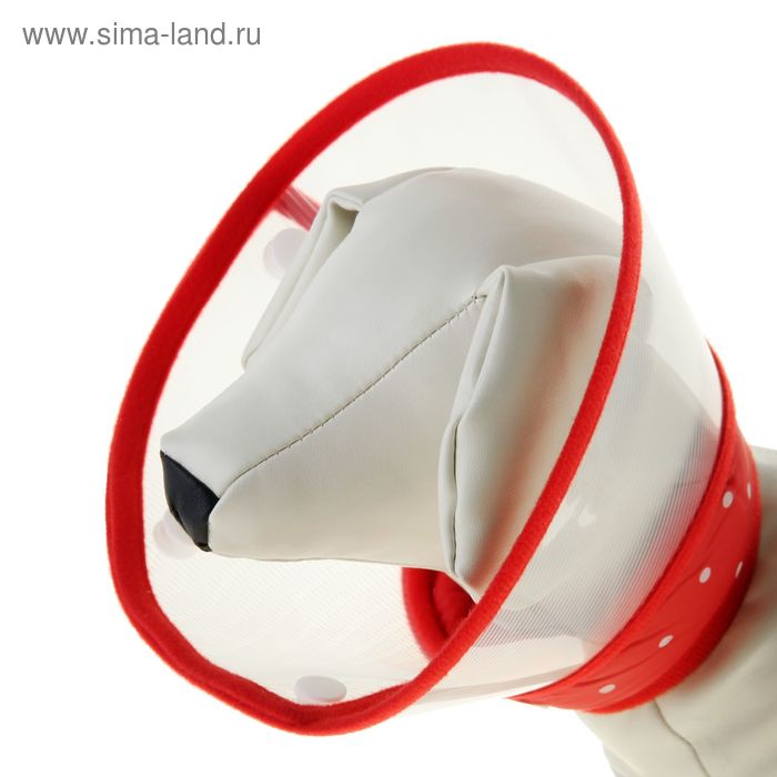 Ветеринарный воротник на клепках с мягким горлом, обх.шеи22/26/29 см,высота 20см,микс цветов
Ветеринарный воротник на клепках с мягким горлом, обх.шеи22/26/29 см,высота 20см,микс цветов