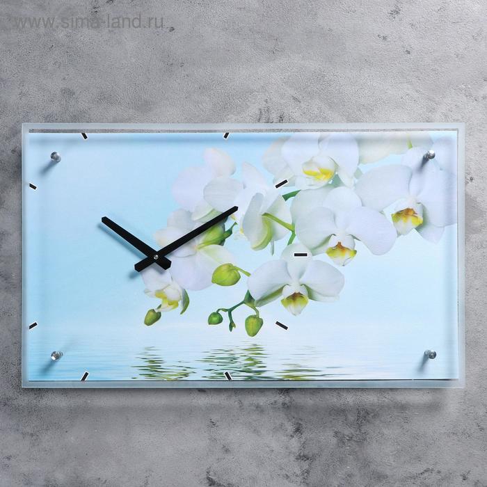 Часы настенные, серия: Цветы, "Белые цветы у воды", 35х60 см, микс 
Часы настенные, серия: Цветы, "Белые цветы у воды", 35х60 см, микс