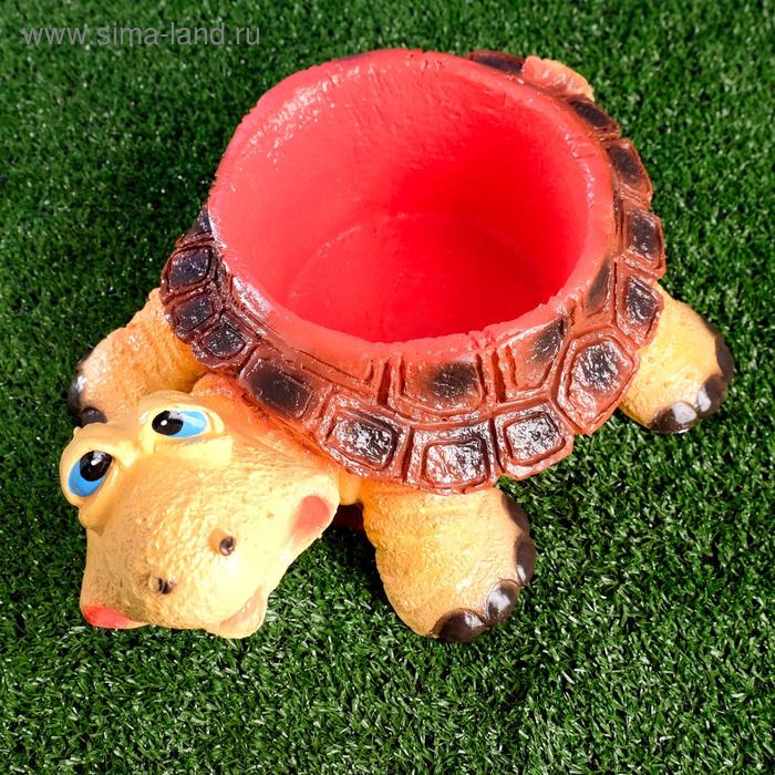 Фигурное кашпо "Черепаха" 30х25х16см
Фигурное кашпо "Черепаха" 30х25х16см