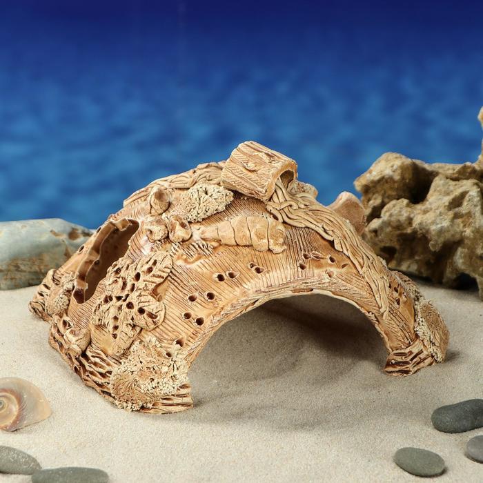 Декорация для аквариума "Губка", 14 х 20 х 12 см
Декорация для аквариума "Губка", 14 х 20 х 12 см