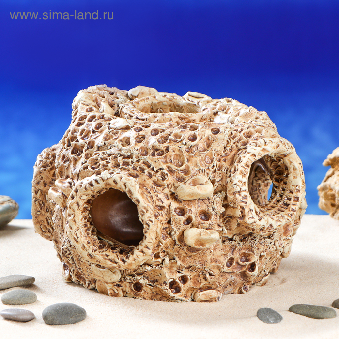 Декорация для аквариума "Гнездо", 14х21х21 см
Декорация для аквариума "Гнездо", 14х21х21 см
