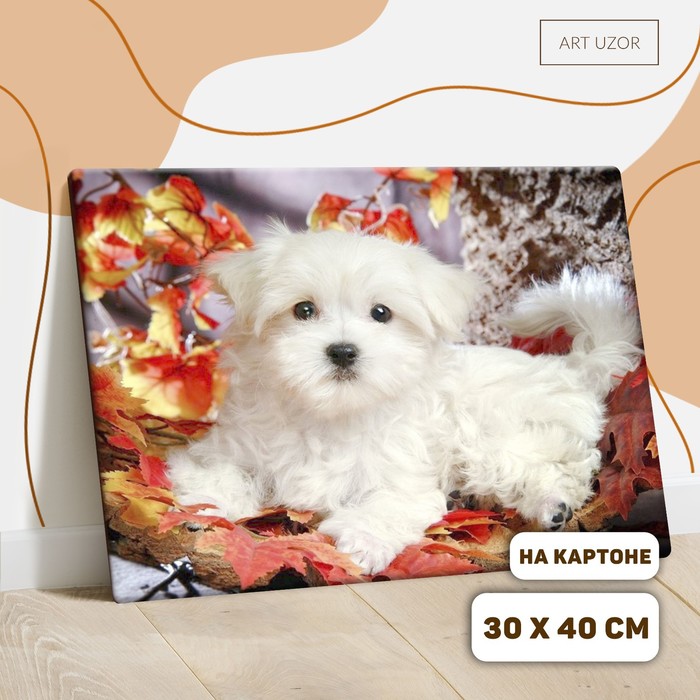 Роспись по номерам без подрамника «Малыш», 40 х 30 см
Роспись по номерам без подрамника «Малыш», 40 х 30 см