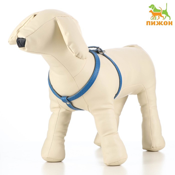 Шлейка кожаная двухслойная, регулируемая многоразмерная, 75 х 1,2 см, синяя
Шлейка кожаная двухслойная, регулируемая многоразмерная, 75 х 1,2 см, синяя