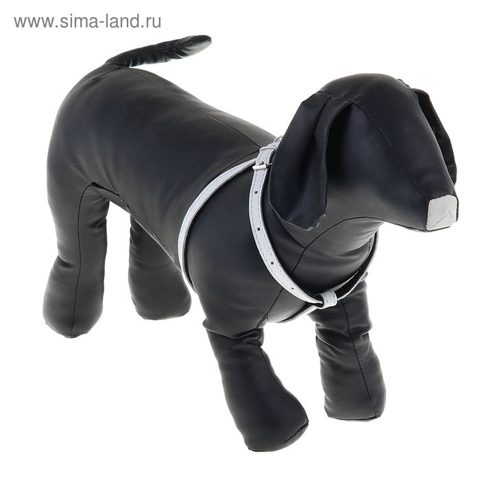 Шлейка кожаная двухслойная, регулируемая многоразмерная, 75 х 1,2 см, белая
Шлейка кожаная двухслойная, регулируемая многоразмерная, 75 х 1,2 см, белая